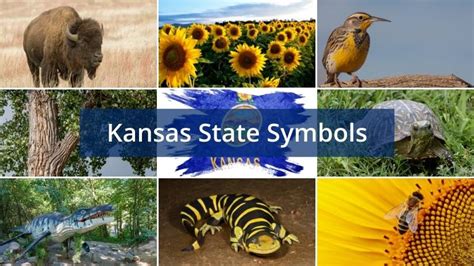 What Are The Kansas State Symbols Foreign Usa