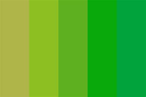 Rainforest Color Palette