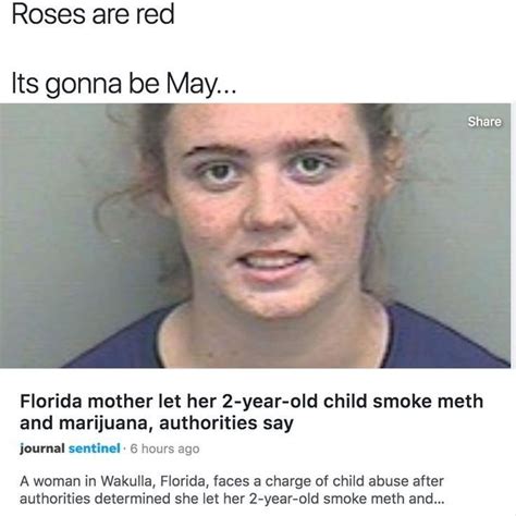 Pin By Tyler Chrysler On Florida Man Really Funny Memes Stupid Funny