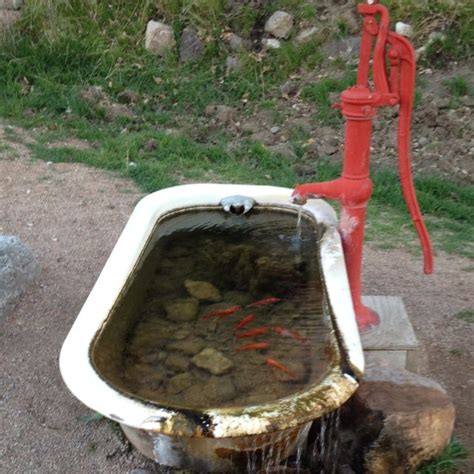 540 x 720 jpeg 114 кб. Pond and fountain I just saw at Grand Canyon Ranch! So ...