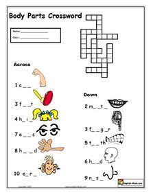 parts   body kindergarten worksheets  curriculum