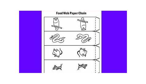 food chain worksheet 5th grade