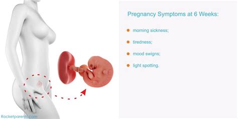Slight Cramping In Early Pregnancy 6 Weeks Pregnancywalls