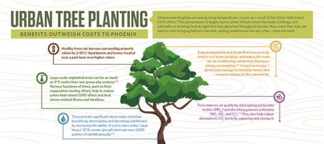 Importance Of Planting Trees Planting Trees In Our Changing Climate