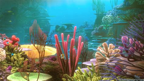 High Resolution Colorful Nature Coral Reef Wallpapers Hd 10 Full