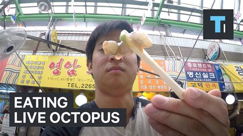 Eating A Live Octopus Youtube