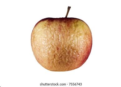 Withered Fruits Images, Stock Photos & Vectors | Shutterstock