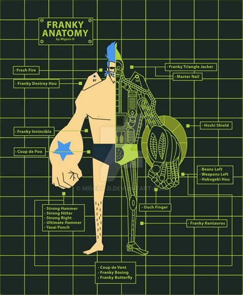 Cyborg Franky Anatomy By Migeru D On Deviantart