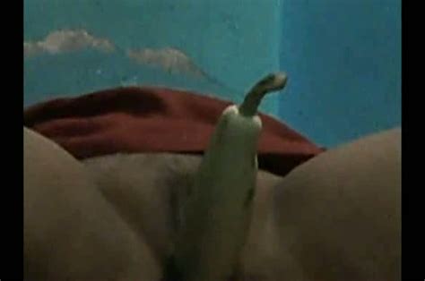 Horny Pussy Gets First Ever Vegetable Telegraph