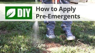Zoysia requires more fertilization than other lawns, and higher levels of potassium. Do My Own - Do It Yourself Pest Control, Lawn Care, Gardening, Equipment & Animal Care Products ...