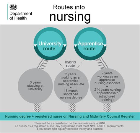 What Are The Routes Into Nursing How Can I Become A Nurse