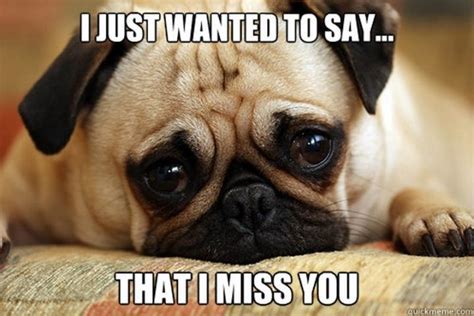 Of The Best I Miss You Memes To Send To Your Bae Inspirationfeed
