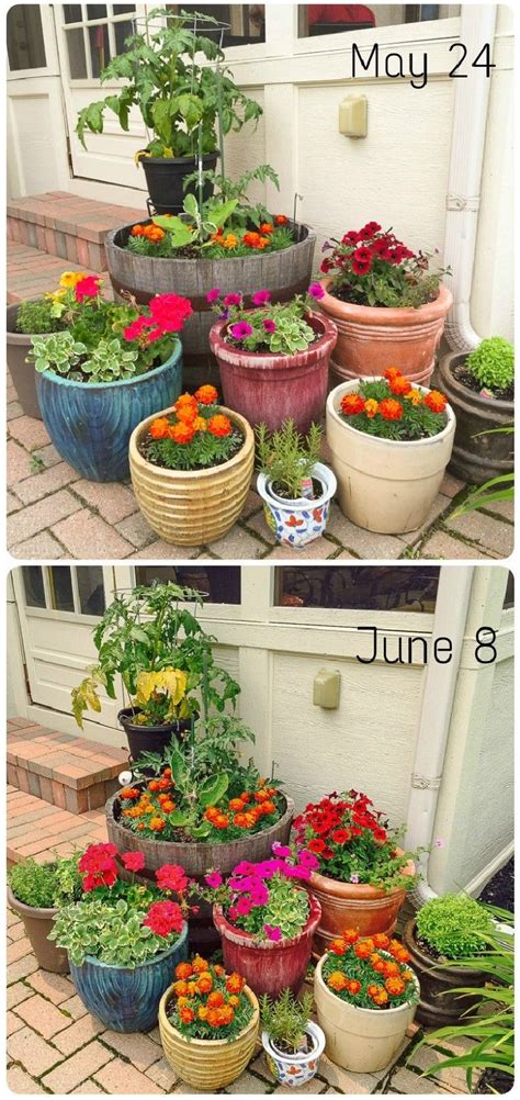 Diy Awesome Patio Or Balcony Herb Garden Ideas 50 Pictures Plants