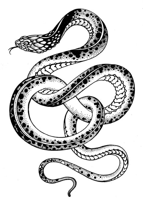 Snake Tattoo Design Snake Tattoo Tattoo