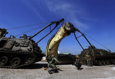 Amazingly The Worlds Largest Snake With A Length Of More Than 20 Feet