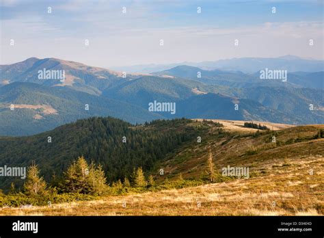 Eastern Carpathians The Ridge Svidovets Filmed In Early September