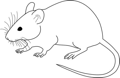 Lab Mouse Clipart 4 Clipart Station