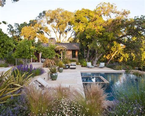 Viele gräser entfalten erst gegen ende der saison ihre schönheit. Ziergräser Pool Stein hohe Bäume Garten mediterran | Garten