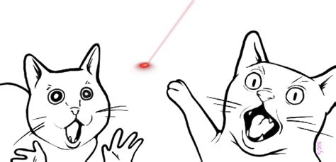 Cats When The Shows Up Two Soyjaks Pointing Know Your Meme