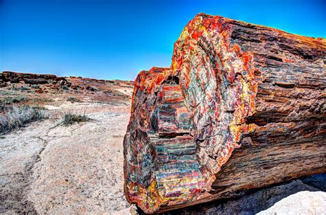 Petrified Forest National Park The Complete Guide For 2023 With Images