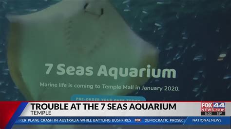Temples 7 Seas Aquarium Addresses Ongoing Rumors Youtube