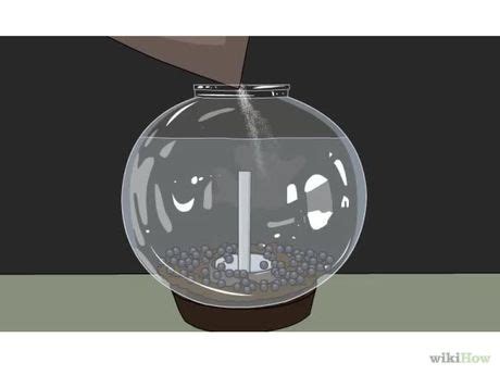 We did not find results for: How to Start a Jellyfish Tank | Jellyfish tank, Jellyfish, Tank