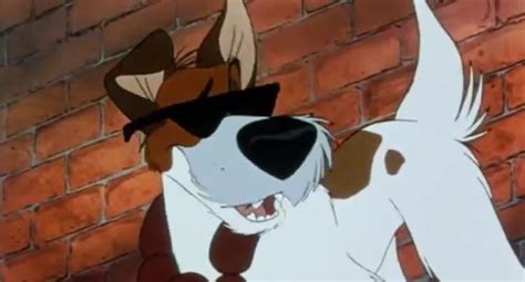 Why Should I Worry Oliver And Company S Dodger Photo Fanpop