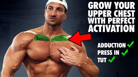 Ultimate Upper Chest Workout W The Godfather Of Bodybuilding Youtube