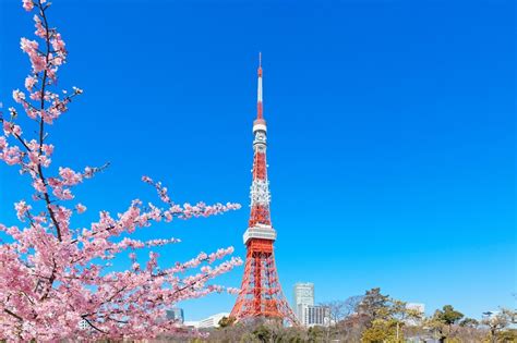 Top 10 Interesting Facts About Tokyo Tower