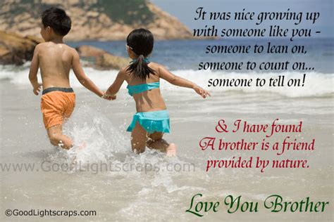 A friend is a brother your heart chose for you. brothers are like streetlights along the road, they don't make distance any shorter but they light up the quotes for brother. Brother Quotes Pictures and Brother Quotes Images with ...