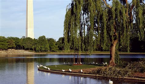 Walking Tours On The National Mall National Mall Coalition