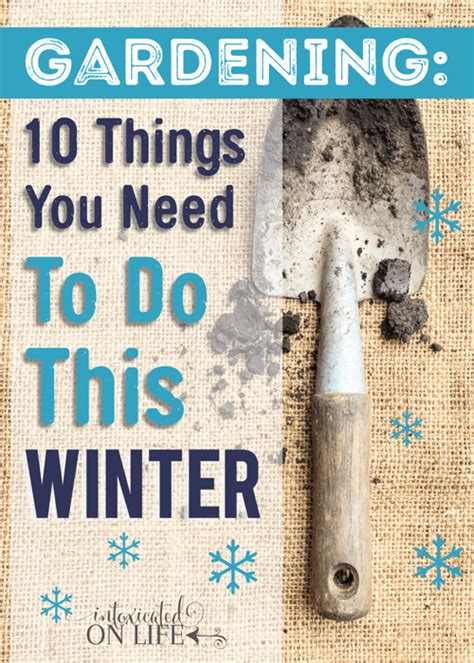 Gardening 10 Things You Need To Do This Winter