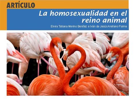 La Homosexualidad En El Reino Animal