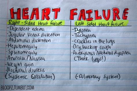 Heart Failure Hf Nursing School Studying Nursing School Survival