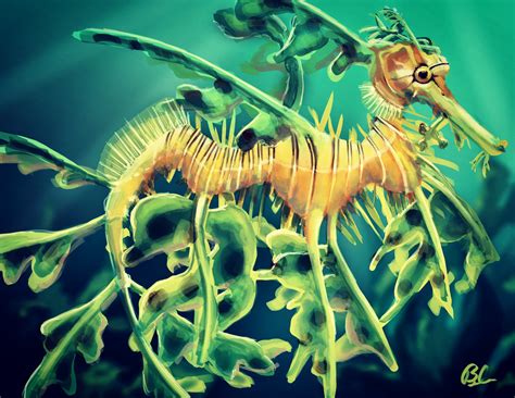 Leafy Sea Dragon By Artfullyorange On Newgrounds