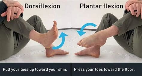 The Stiff Ankle Fix 4 Exercises For More Range Of Motion Laptrinhx