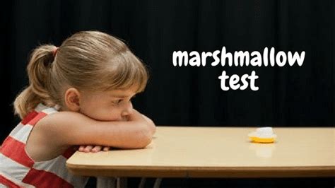 Delayed Gratification The Marshmallow Test
