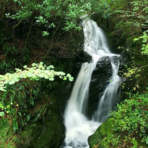Tollymore Forest Waterfalls In Northern Ireland Ireland Before You Die