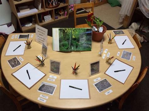Ppatch Observational Drawing Reggio Inspired Reggio Art Activities