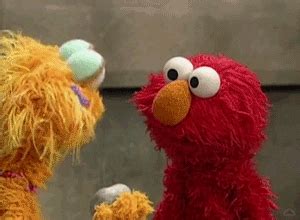 Sesame Street What GIF By Muppet Wiki Find Share On GIPHY