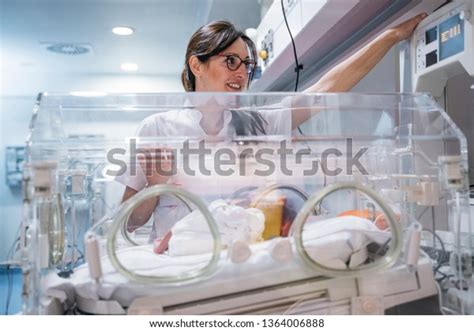 Female Doctor Examining Newborn Baby Incubator Stock Photo Edit Now