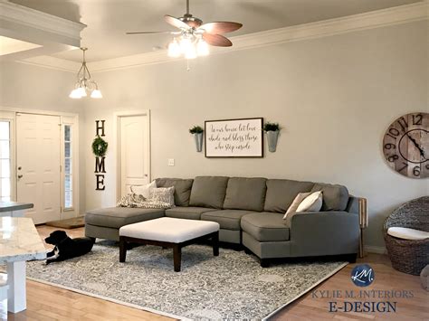Sherwin Williams Agreeable Gray In Living Room With Gray Sectional