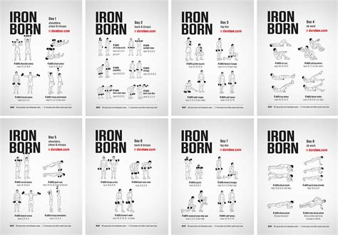 Download Workout Plan For Beginners Darebee Workout Plan Gym