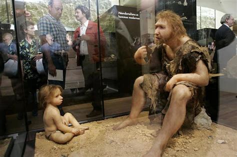 Neandertallerle Modern Insanların Aynı Teknolojiyi Kullandığı