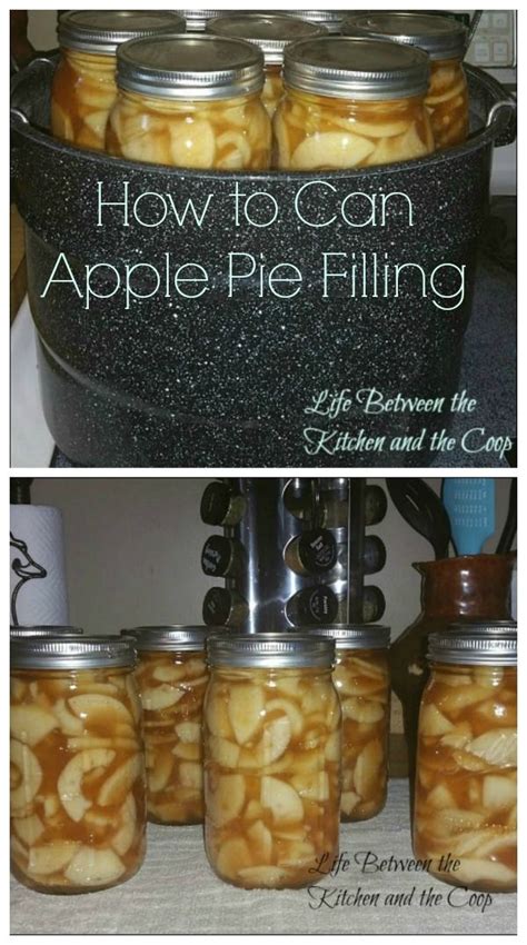The recipe above will fill about 7 quarts. How to Can Apple Pie Filling | Recipe | Canned apple pie ...