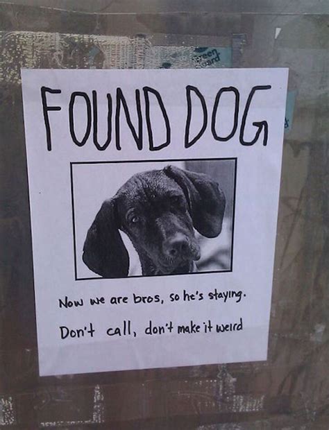 All Of These Funny Lost And Found Flyers Are Worth Stopping To Read