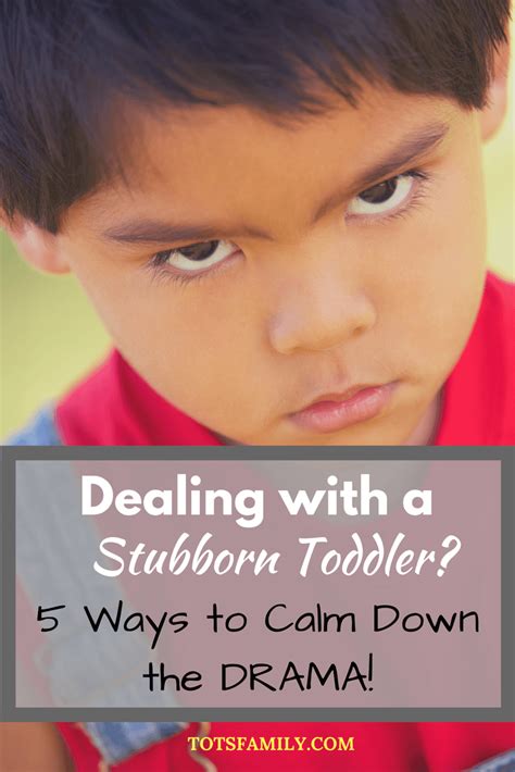 Are You Dealing with a Stubborn Toddler? 5 Ways to End the Drama Now!