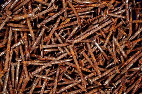 Premium Photo Rusty Nail Many Rusted Nails Group Of Iron Rust Metal