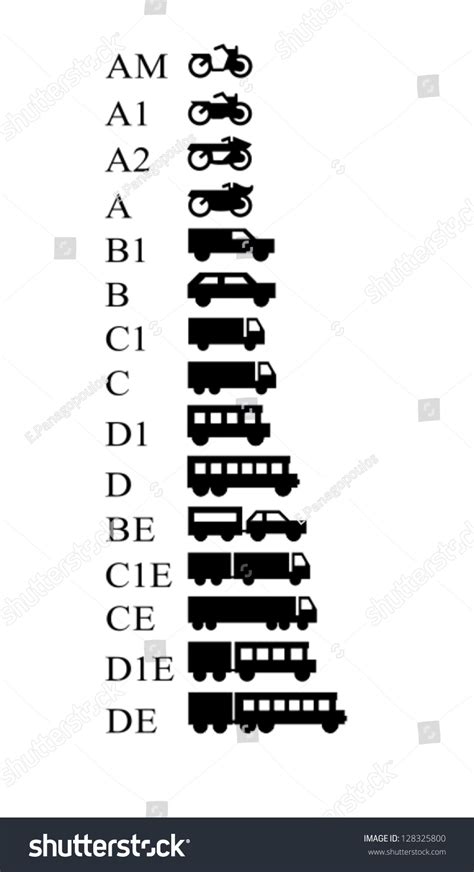 European Drivers License Categories Symbols Stock Vector Royalty Free
