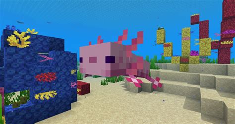 What Does An Axolotl Eat In Minecraft Whtoda